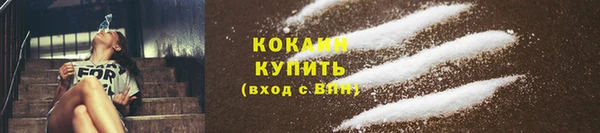 крисы Покачи
