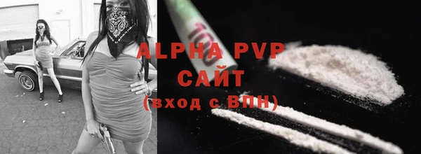 крисы Покачи