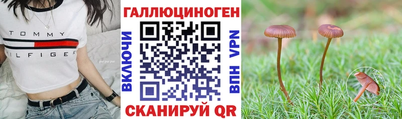 Псилоцибиновые грибы прущие грибы  купить   Черняховск 